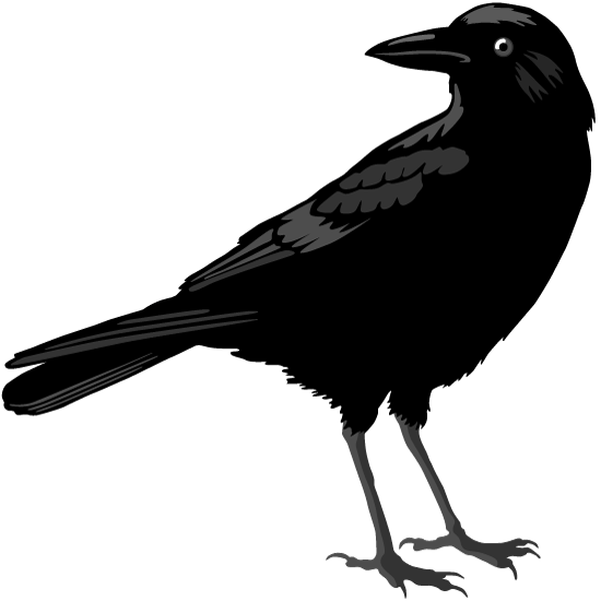 04013xfv-9c8f-550x550.png