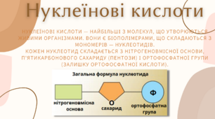 Презентація з теми "Нуклеїнові кислоти"
