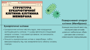 Структура екуарітичної клітини: клітинна мембрана