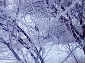 04013z0w-f52f-282x211.png