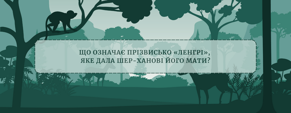 04013z3e-d971-940x367.png