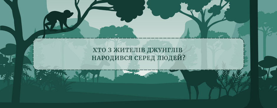 04013zvy-4c68-940x367.png