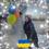 Павлова Ирина