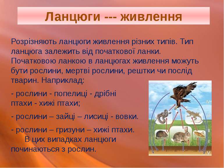 Ланцюги живлення - презентація з біології