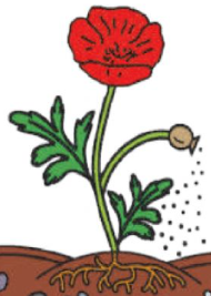 040141wf-7dc2-190x267.png