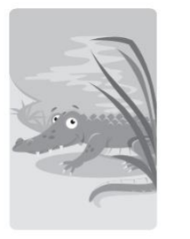 040142s1-3284-214x270.png