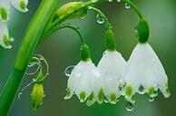 040147v0-c7a2-194x128.jpg