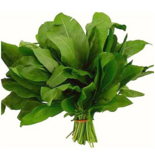 04014a6l-8deb-155x155.png