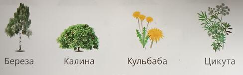 04014cnf-1765-488x151.jpg