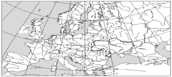 04014d0v-e23b-648x293.png