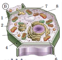 04014d7v-c09a-207x201.png