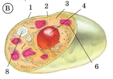 04014d8f-f88c-231x161.png