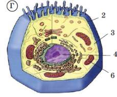 04014d9u-f7b9-229x189.png