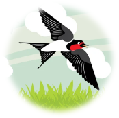 04014dvt-f54a-174x172.png