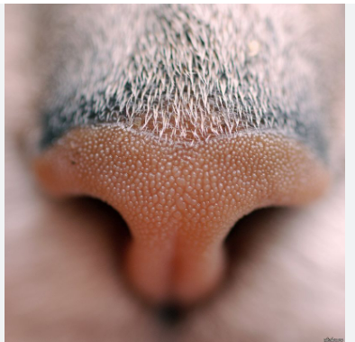 04014ej2-b3bc-394x379.png