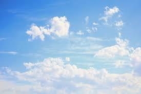 04014fbx-8942-275x183.jpg