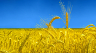 Слова сили