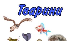 Діагностувальна робота √4  "Тварини"