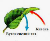 04014hxk-c6a0-200x165.png