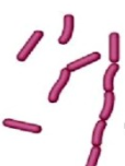 04014jrx-35ad-114x152.png