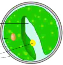 04014kbh-e712-246x254.png
