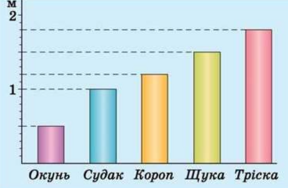 04014kcl-3afe-368x240.png
