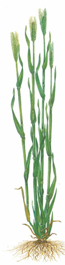 04014klp-5626-128x520.png
