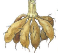 04014kpr-b21c-120x110.png