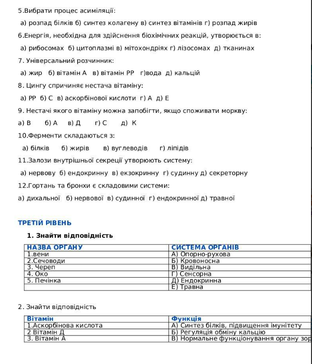 04014lu1-e619-636x742.png