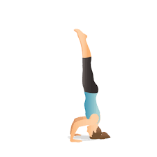 04014nzv-3166-225x225.png