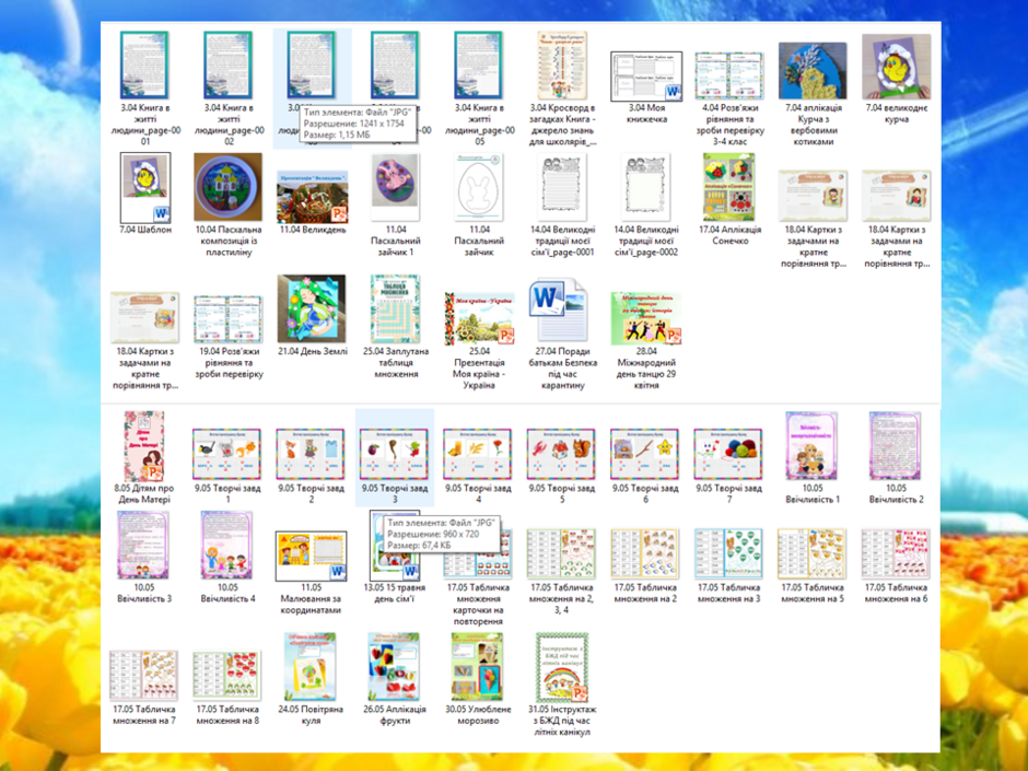 04014pie-0571-940x705.png