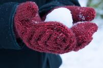 Antler Mittens pattern | Tin Can Knits