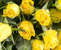 04014ugz-128a-216x176.jpg
