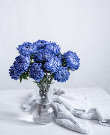 04014un6-1bee-217x265.jpg
