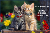 04014vf2-95c3-194x130.png
