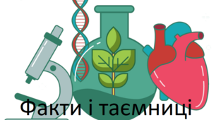 Діагностична "Факти і таємниці" 4 клас