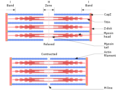 04014z0y-79d2-400x309.png
