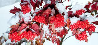 04015061-46eb-332x152.jpg