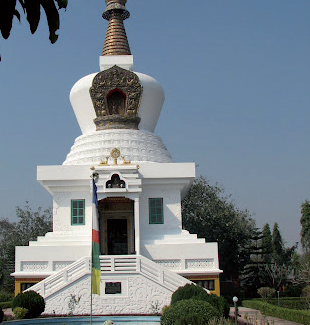 040155vm-7713-310x325.png