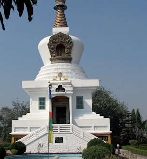 040155x3-9876-304x328.png