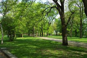 park.jpg