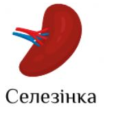 04015ahk-e156-169x177.png