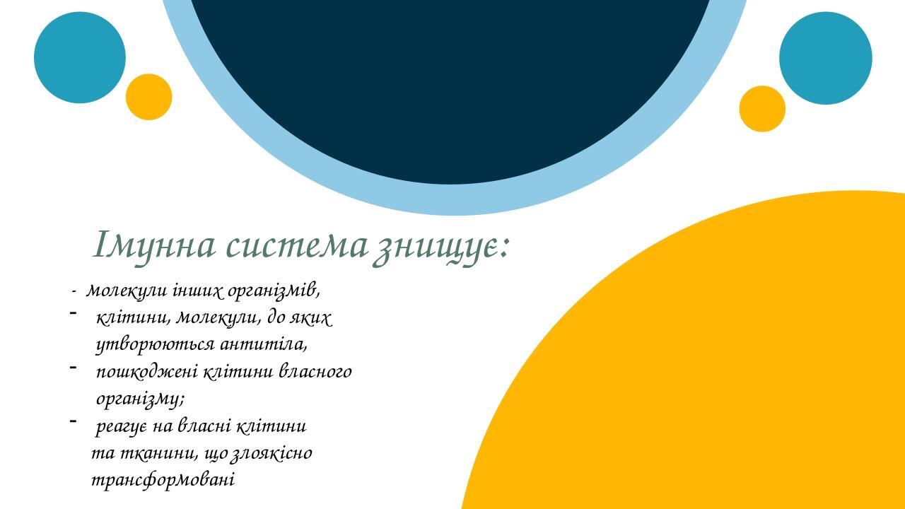 Імунна система знищує: - молекули інших організмів, клітини, молекули, до яких утворюються антитіла, пошкоджені клітини власного організму; реагує ...
