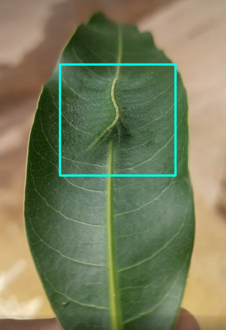 04015ig7-6926-452x660.png