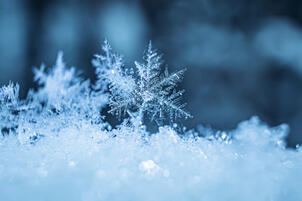 04015ir8-bc0d-302x201.jpg