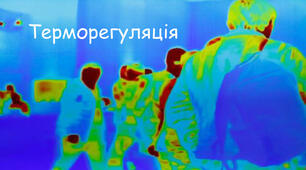 Терморегуляція. Водно-сольовий гомеостаз. Детоксикація. (Профільний ревень)