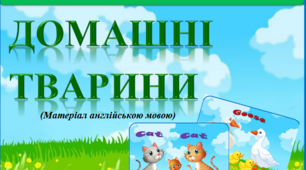 Демонстраційний матеріал англійською мовою "Домашні тварини"