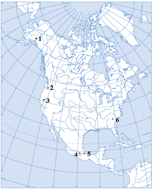 04015wg5-1dcd-520x643.png