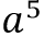 040160pd-765d-50x34.png