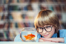 Menino com peixe dourado foto de stock. Imagem de ouro - 92352302